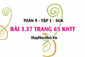 Bài 3.37 trang 65 Toán 9 tập 1 Kết nối tri thức